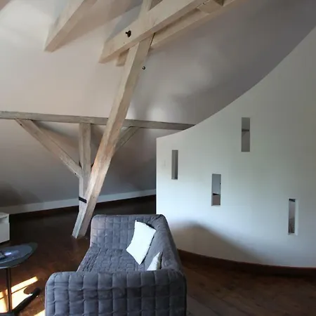 Appartement Entre Douceur Et Delicatesse Colmar